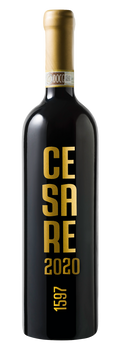 Gattinara Riserva DOCG "CESARE" 2020